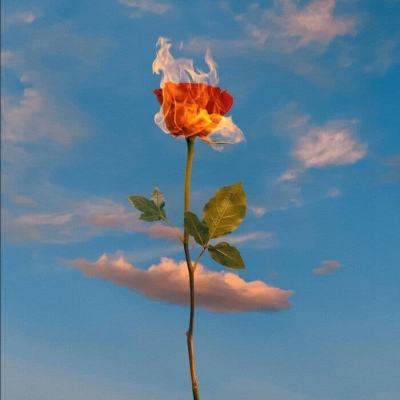 南宫28ng娱乐app下载